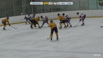 Replay: Home - 2024 CHI Cougars vs CHI Crush | Jan 28 @ 5 PM