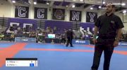 Daniel Maira vs Andrew Wiltse 2018 Pan Jiu-Jitsu IBJJF No Gi Championship