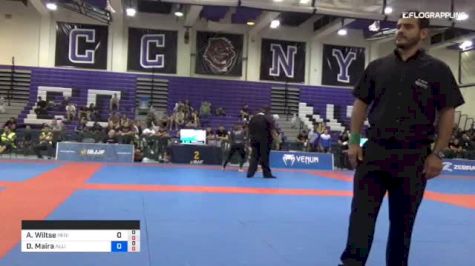 Daniel Maira vs Andrew Wiltse 2018 Pan Jiu-Jitsu IBJJF No Gi Championship