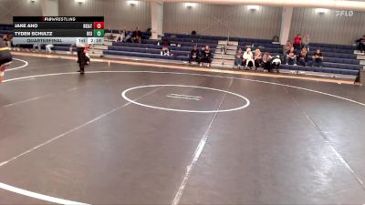 133 lbs Quarterfinal - Tyden Schultz, Briar Cliff (Iowa) vs Jake Aho, Rochester Community & Tech. College