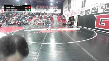 113 lbs Semifinal - Ayden Felix, Glenns Ferry vs Judah Wethern, Valley