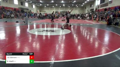 82 lbs Quarterfinal - Beckett Savage Edstrom, Hastings Wrestling Club vs Gavin Hoeft, MN Elite