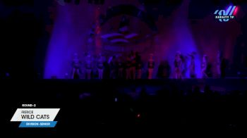 Fierce - Wild Cats [2024 L2 Senior 2] 2024 The American Showcase DI & DII