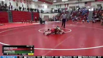 120 lbs Semifinal - Dawson Fish, Dubuque Hempstead vs Ayden Nicklaus, Davenport West
