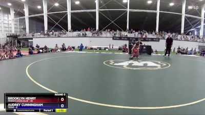 87 lbs Round 5 (6 Team) - Brooklyn Henry, Pennsylvania Blue vs Audrey Cunningham, Texas