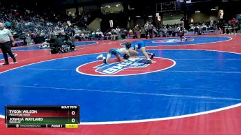 7A-138 lbs Quarterfinal - Tyson Wilson, Peachtree Ridge vs Joshua Wayland, Denmark