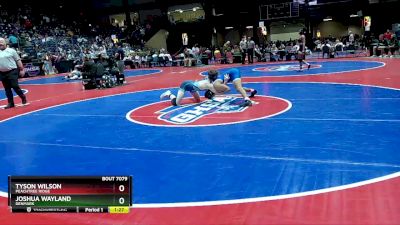 7A-138 lbs Quarterfinal - Tyson Wilson, Peachtree Ridge vs Joshua Wayland, Denmark