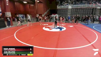 102 lbs Quarterfinal - Xabi Hellman, Wyoming Unattached vs Nash Jenkins, Windy City Wrestlers