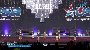 Claws Out All Stars - Tiny Cats [2025 L1 Tiny - Novice - Restrictions Day 1] 2025 USA All Star Cheer Super Nationals