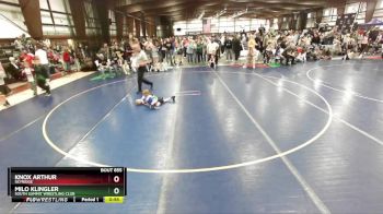 39 lbs 5th Place Match - Knox Arthur, Skyridge vs Milo Klingler, South Summit Wrestling Club