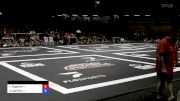 Rafael Paganini vs Andre Porfirio 2024 ADCC South American Trials 1