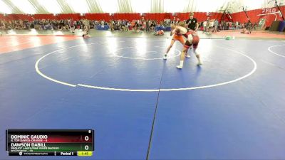 144 lbs Round 2 (6 Team) - Dawson Dabill, Pequot Lakes/Pine River Backus Roadcrew vs Dominic Gaudio, IL Top Dawgs-ORANGE