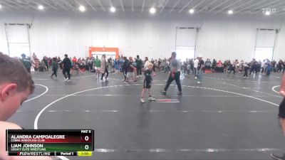 70 lbs Cons. Round 2 - Liam Johnson, Legacy Elite Wrestling vs Alandra Campoalegre, Cobra Wrestling Club