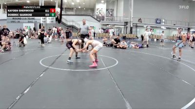96 lbs Round 3 (4 Team) - Kayden Sherwood, Revival Legacy vs Dominic Giannoni, Revival