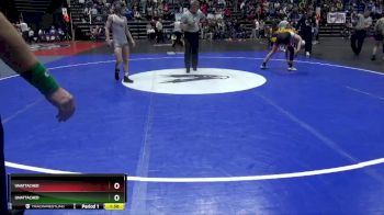 118 lbs Quarterfinal - Ethan Sonne, Lincoln-Way WC vs Josiah Willis, Beat The Streets Chicago-Midway