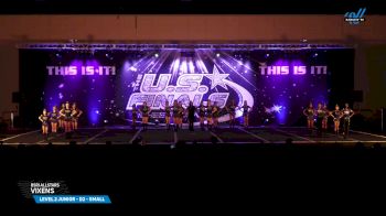 BSRI Allstars - ViXens [2025 L2 Junior - D2 - Small Day 1] 2025 The U.S. Finals Worcester