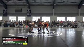 184 lbs Champ. Round 1 - Camron Callahan, Muskingum University vs Gavin Layman, Ohio Northern University