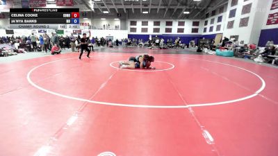 160 lbs Champ. Round 2 - Celina Cooke, Colorado Mesa University vs Ja`Nya Banks, Midland University