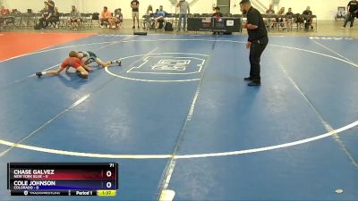 71 lbs Quarterfinals (8 Team) - Chase Galvez, New York Blue vs Cole Johnson, Colorado