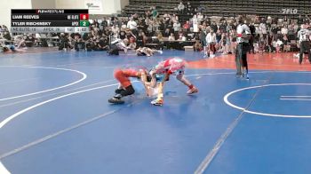 81 lbs Rr Rnd 1 - Liam Reeves, Nebraska Elite - ESE vs Tyler Ribchinsky, Dark Horse/Apex - ESE