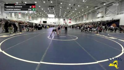 113 lbs Semifinal - Clinton Randall, Dolgeville Youth Wrestling Club vs Mitchell Johnson, Anarchy Wrestling
