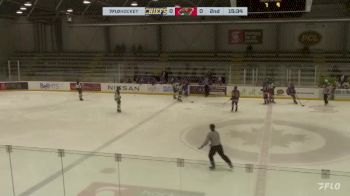 Replay: Home - 2024 Chiefs U18 AAA vs Wild U18 AAA | Feb 11 @ 1 PM