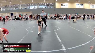 48 lbs Round 3 (6 Team) - Sawyer Richardson, Capital City WC vs Charlie Harold, Junior Terps Xpress