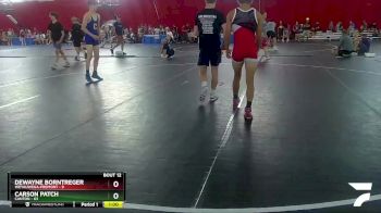 132-132 lbs Round 1 - DeWayne Borntreger, Weyauwega-Fremont vs Carson Patch, Canton