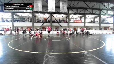 158-162 lbs Champ. Round 1 - Brenden Wilson, Mexico vs Kade Orrell, PSF Wrestling Academy