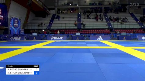 Replay: Mat 4 - 2024 European Jiu-Jitsu IBJJF Championship | Jan 20 @ 8 PM