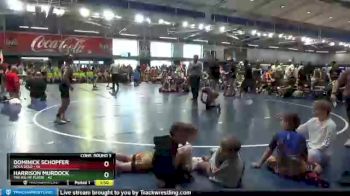 95 lbs Semis & 3rd Wb (16 Team) - Dominick Schopfer, NOLA Gold vs Harrison Murdock, The Big MF Purge
