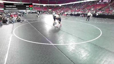 D3-215 lbs Quarterfinal - Taydyn Angell, Cornell/Gilman/Lake Holc. vs Tellyer Alix, Weyauwega-Fremont