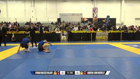 Andrew John Mcnelly vs Ayman Majeed Halaby 2024 World IBJJF Jiu-Jitsu No-Gi Championship