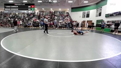 120 lbs Champ. Round 2 - Regan Johnson, New Ulm Area vs Cole Caniglia, AMDG