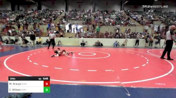 51 lbs Round Of 16 - Mason Araujo, Georgia vs Camden Wilson, North Hall Wrestling Club