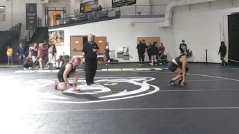 180 lbs Cons. Round 2 - Kaylee Hudson, Delaware Valley vs Janeyda Ortiz, Cedar Crest