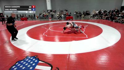 165 lbs Rocco Cassioppi, Illinois Freestyle vs Cael Gilmore, Ohio Scarlet FS