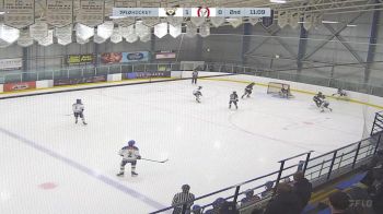Replay: Home - 2025 CRAA White U15 vs CBHA Wranglers U15 | Mar 7 @ 5 PM