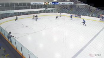 Replay: Home - 2024 RD North Stars vs MLAC Leafs | Jan 20 @ 4 PM