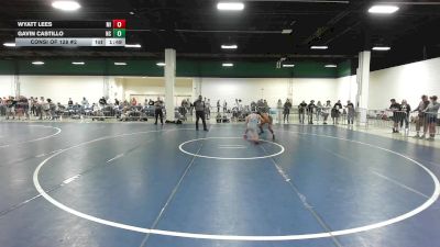 132 lbs Consi Of 128 #2 - Wyatt Lees, MI vs Gavin Castillo, NC