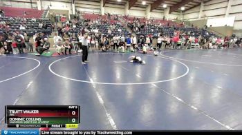 50 lbs Semifinal - Dominic Collins, Sanderson Wrestling Academy vs Truitt Walker, JWC