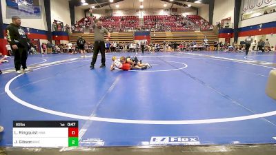 80 lbs Consolation - Lukus Ringquist, HURRICANE WRESTLING ACADEMY vs Jaxsyn Gibson, Berryhill Wrestling Club