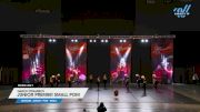 Dance Dynamics - Junior Premier Small Pom [2024 Junior - Pom - Small Day 1] 2024 Just Dance Houston Showdown