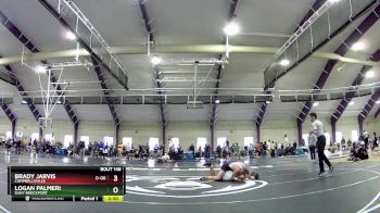 157 lbs Quarterfinal - Brady Jarvis, Campbellsville vs Logan Palmeri, Suny Brockport