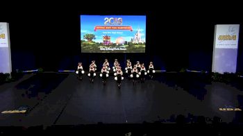Linn-Mar High School [2018 Medium Pom Semis] UDA National Dance Team Championship