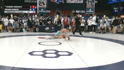 113 lbs Champ. Rd Of 128 - Dominic DeMarco, Illinois vs Brodie Harmon, Oklahoma