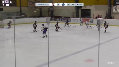 Replay: Home - 2024 Chicago Reapers vs Toronto Marlboros | Dec 1 @ 12 PM