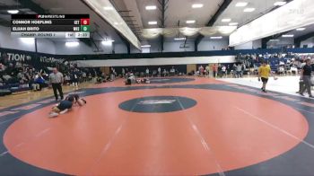 165 lbs Champ. Round 1 - Elijah Brito, Wilkes vs Connor Hoefling, Gettysburg