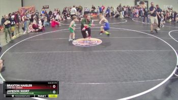 47 lbs Cons. Round 2 - Braxton Haigler, Cane Bay Cobras vs Jameson Short, Summerville Takedown Club