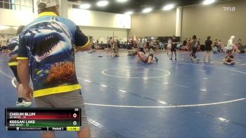 165 lbs Round 2 (6 Team) - Keegan Lake, War Ready vs Chisum Blum, SD White